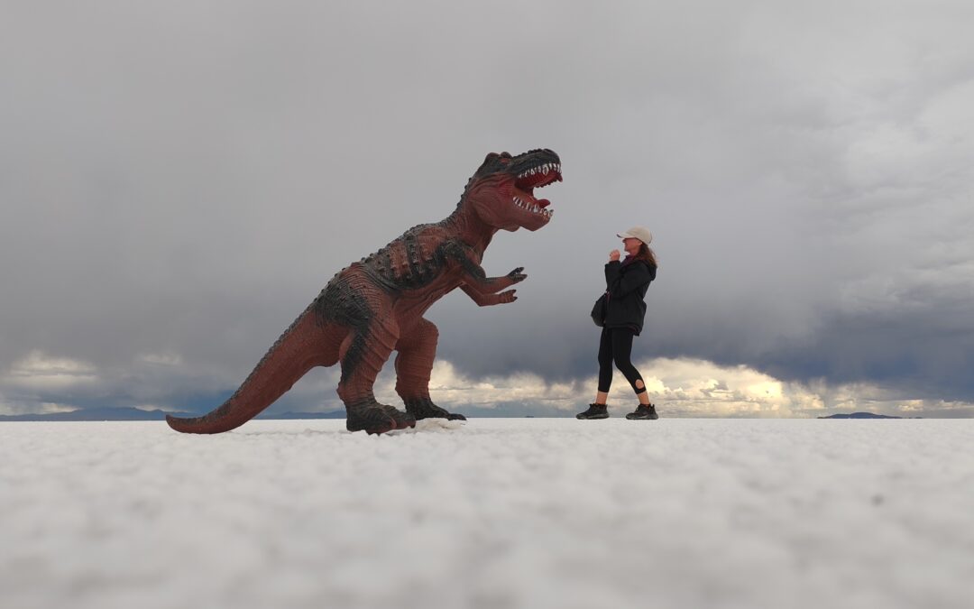 Salt Flat’s Mirror To Love